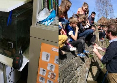Aquarium en classe