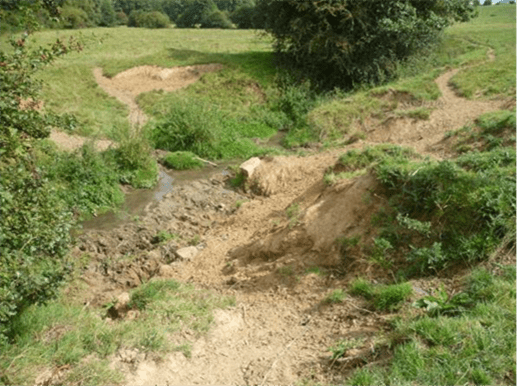 Photo 1. Érosion des berges du cours d’eau ©CR Sambre