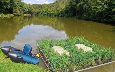 Des radeaux sur les plans d’eau : une aubaine pour la faune et la flore aquatique