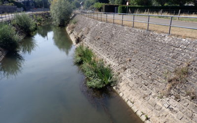 Gestion de cours d’eau 