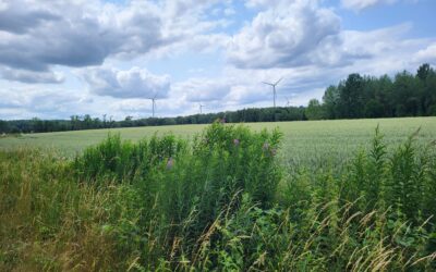 Agriculture