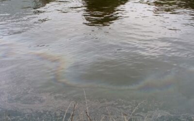 Pollutions 