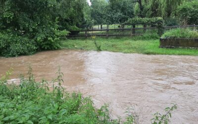 Le curage, une fausse bonne idée ?