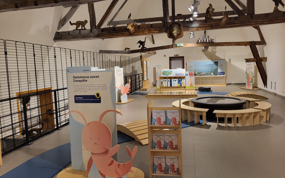 Namur – Printemps des Sciences – Qu&rsquo;arrive-t-il à la rivière de Gammarus ?