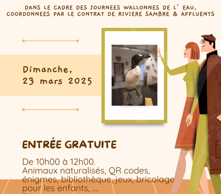 Sivry – Musée ouvert : oiseaux d&rsquo;eau