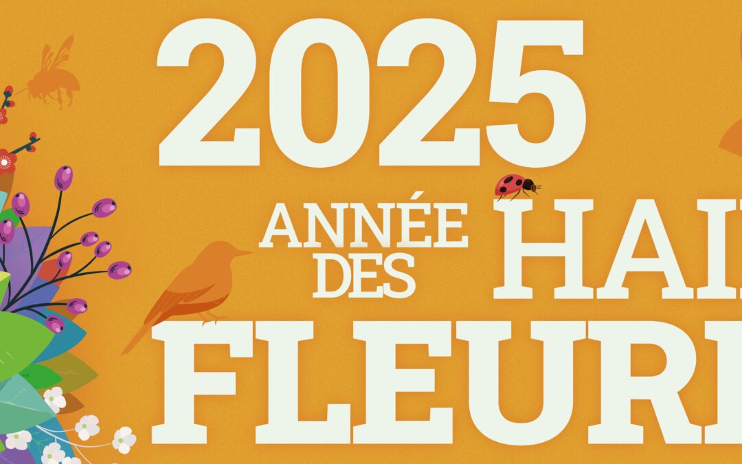 Châtelet : Journée de l’Arbre