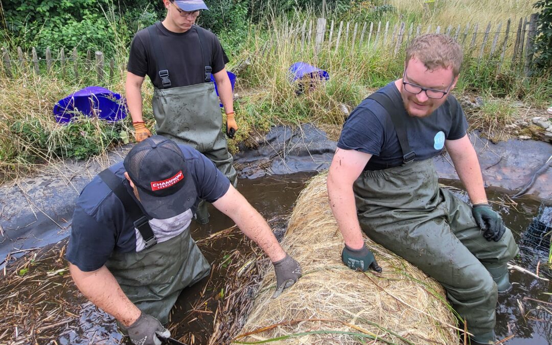 Espèces exotiques envahissantes (EEE) : retour sur la campagne de gestion 2025