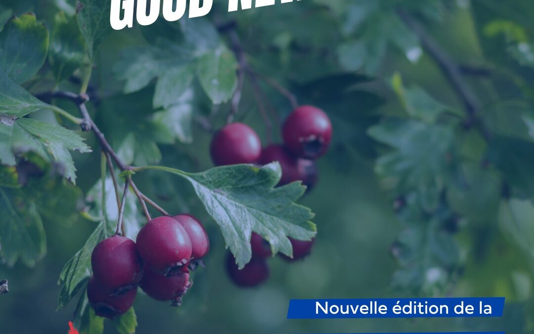 Thuin : Journée de l’Arbre