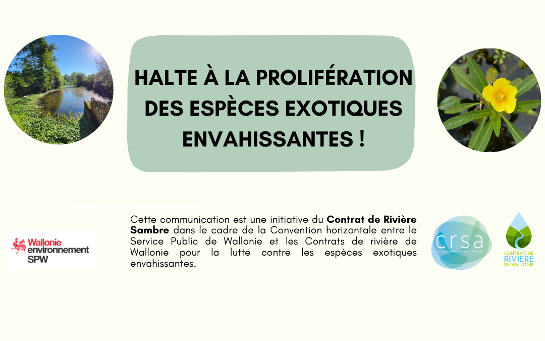Formation Espèces exotiques envahissantes aquatiques