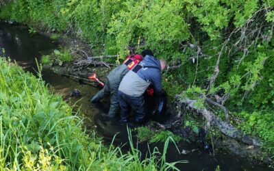 Déchets dans les cours d’eau : un fléau aux conséquences multiples