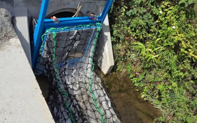 Une première à Gerpinnes : une chaussette à macro-déchets installée sur le Chârnoi.